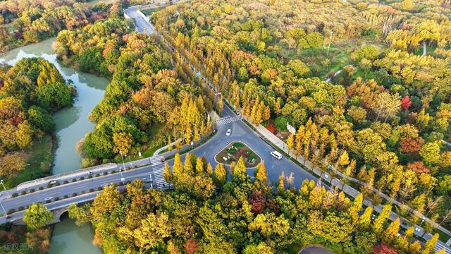 扬州六条神仙马路：解锁古城六重魅力密码