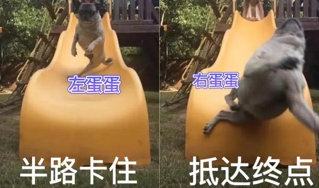 为什么男生的蛋蛋，摸摸更健康？（女生勿进）