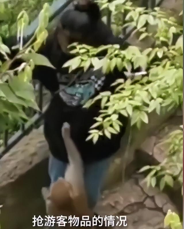 男子黔灵山辱骂老头后续：正脸曝光账号被扒，难怪嚣张 受害者回应