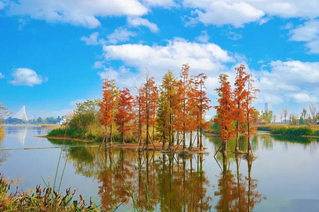 冬崃｜阳光与候鸟齐飞！泉水湖给你双重惊喜～