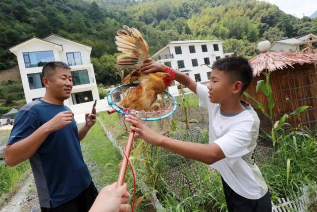 “山村收菜计划”再升级！杭城一批亲子家庭上周末驱车200公里赶到这个海拔600多米的小山村……