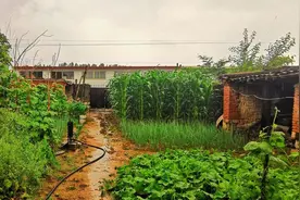 一亩地的价值图片