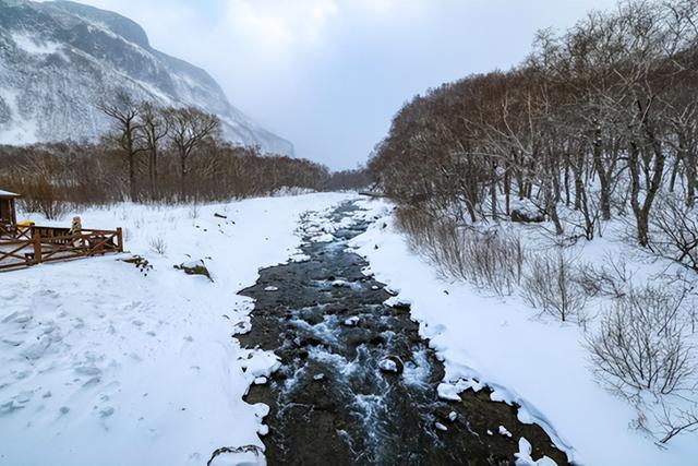第一批大湾区游客，已经在吉林“定居”了？