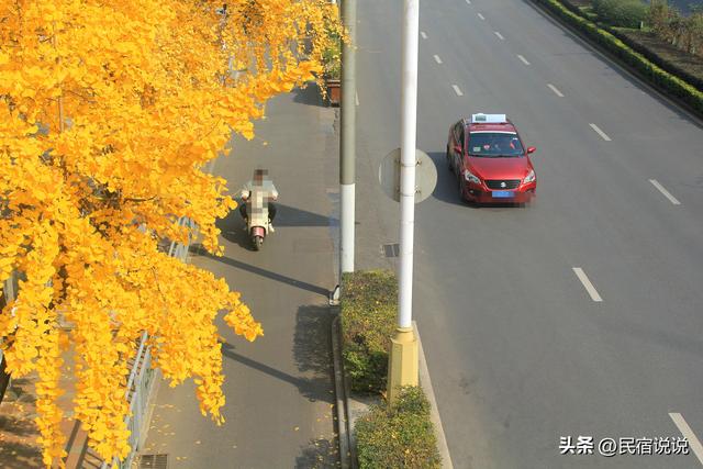 高铁真的开进桂林水墨画里了