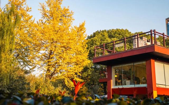 上海市中心又一公园拆除围墙！24小时开放！内藏明城墙和宝藏机位！怎么还有个“灶披间”？