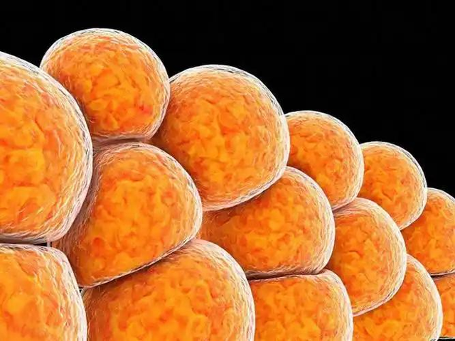 胶原蛋白不适合什么人群 胶原蛋白不适合什么人群使用