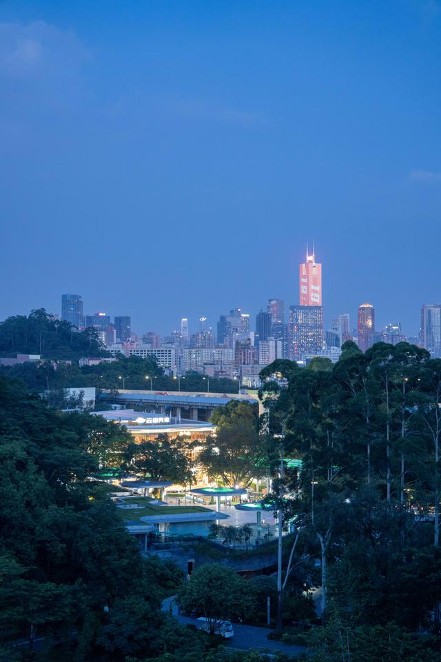 广州亲子研学，夜游植物园，走进大自然的夜课堂