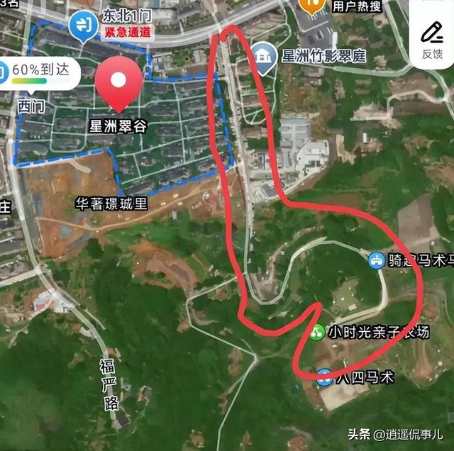 氢氟酸夺命案反转：家属撒谎被拆穿，散步变种菜真相终于大白！