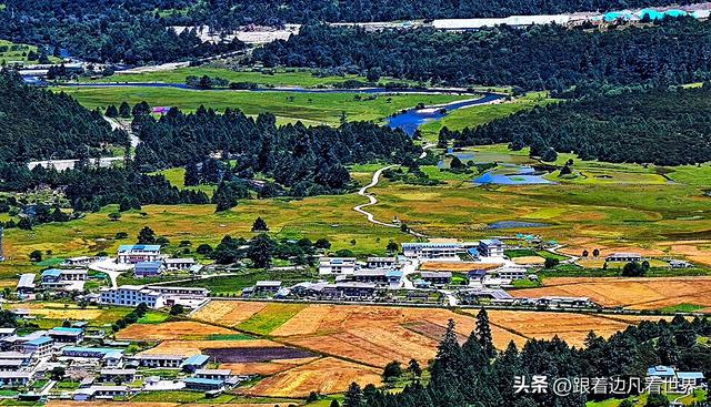 《八进西藏》空中俯瞰林海牧歌里，藏着鲁朗的宁静