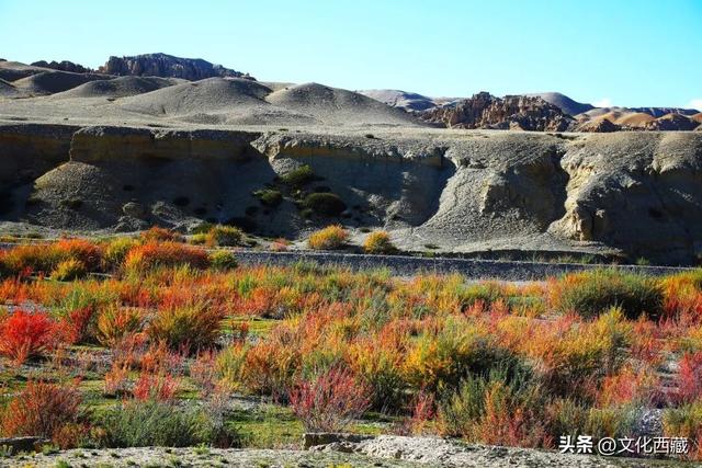 世界级风景，全部0元！西藏阿里这份“免费景点”清单请收好！