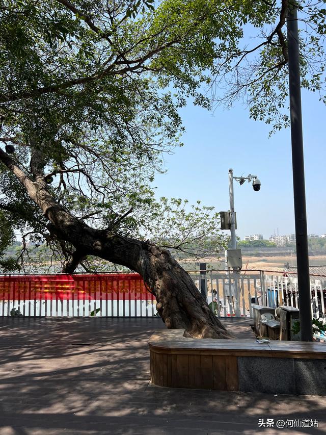 赣州建春门浮桥，江西一绝，属于国宝