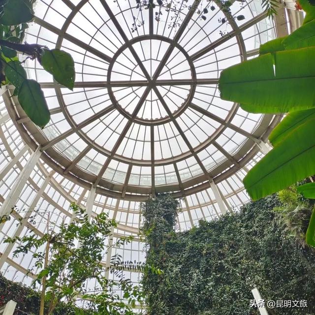 初冬出片C位！昆明这个地方必须榜上有名，周末抓紧冲~