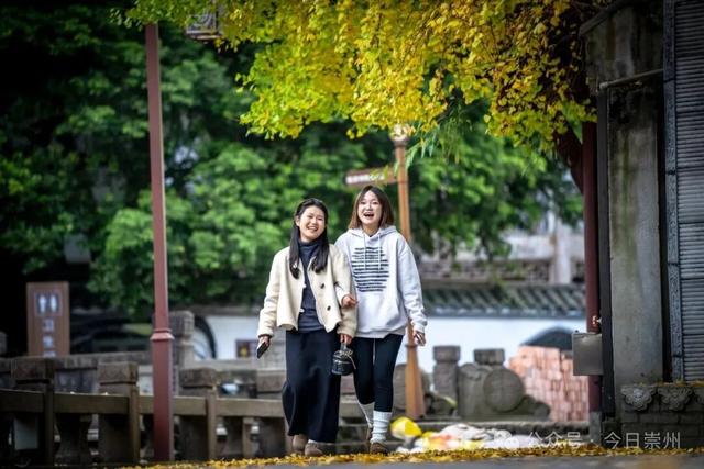 速来→崇州正上演初冬金色浪漫大片！