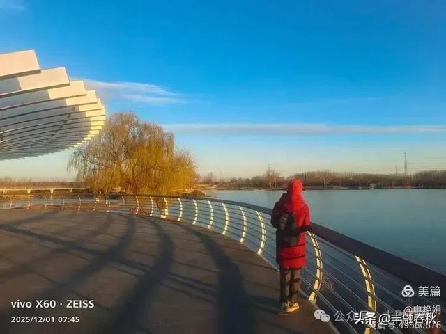 初冬北京朝阳坝河金盏淀：清寒里的静美画卷｜申艳娟