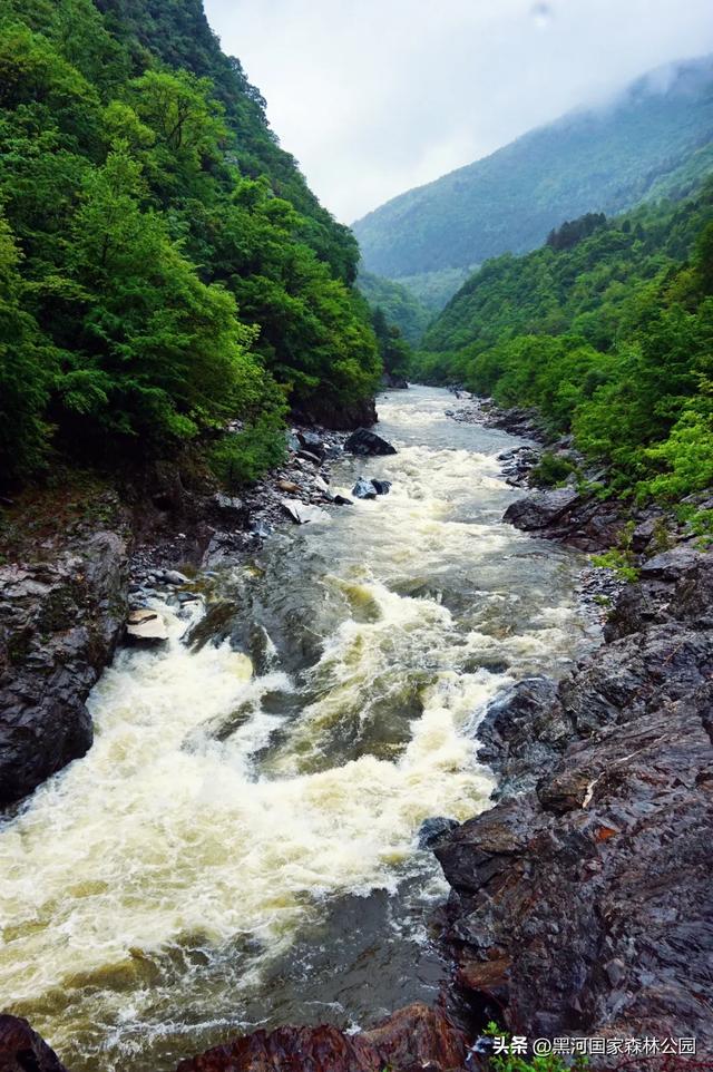 云海翻涌,薄雾缭绕,在黑河山间邂逅“山林仙境”