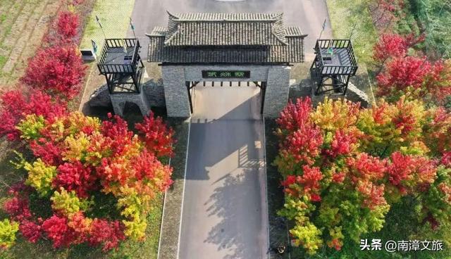 走吧！和朱迪尼克组团，解锁冬日南漳的“动物城”奇遇