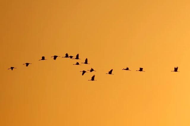 冬天在开封，一定要做这几件事！