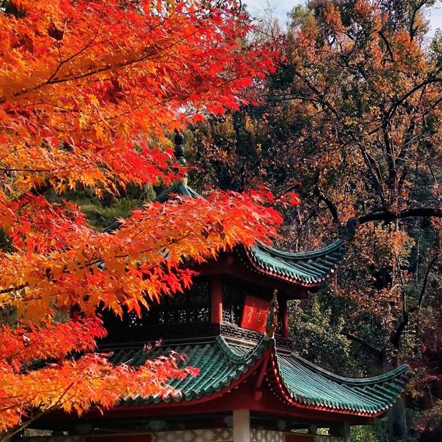 舌尖上的中国：十大美食之都的饕餮之旅