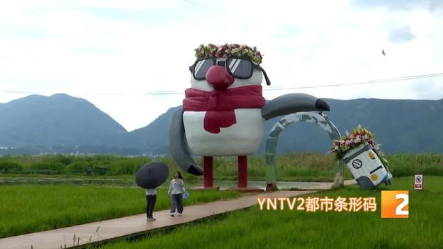 巨型稻草人、睡美人稻海等太出片了！昆明这个宝藏景点越来越美！