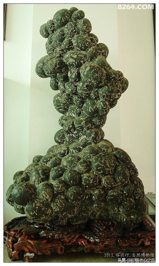 山东行游影记（36）—平邑天宇自然博物馆（十一）