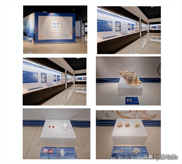 ＠达州人，5·18达博不闭馆！游园、看展、讲解......周一约起~