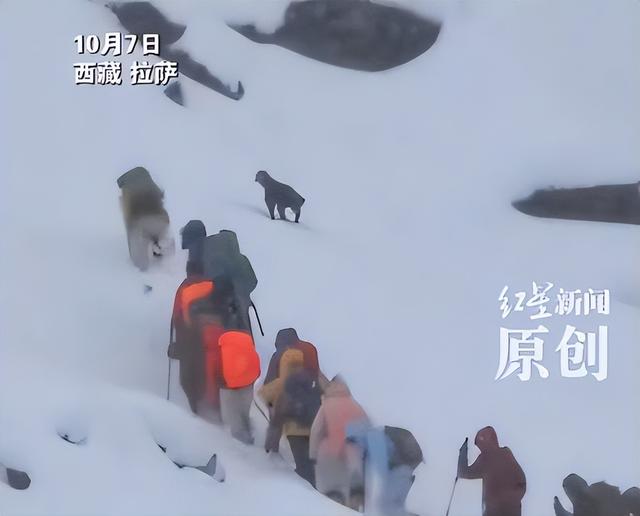 珠峰暴雪被困后续：向导人肉开路，百余人因此获救，有人重金感谢
