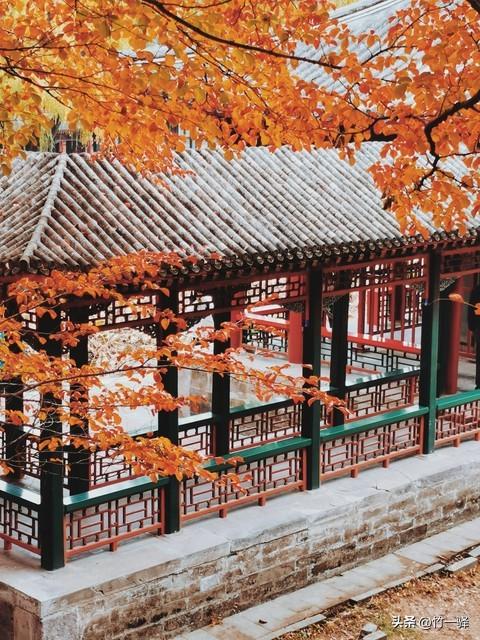 Deepseek和百度AI共同推荐北京红叶区：到北京旅游至少要去三个。
