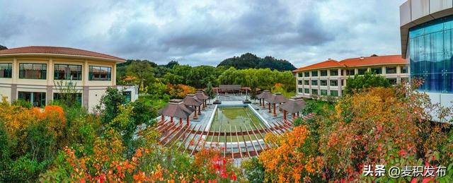 【东方微笑 多彩麦积】摄影师看麦积 | 和谐园里风光如诗画（上）