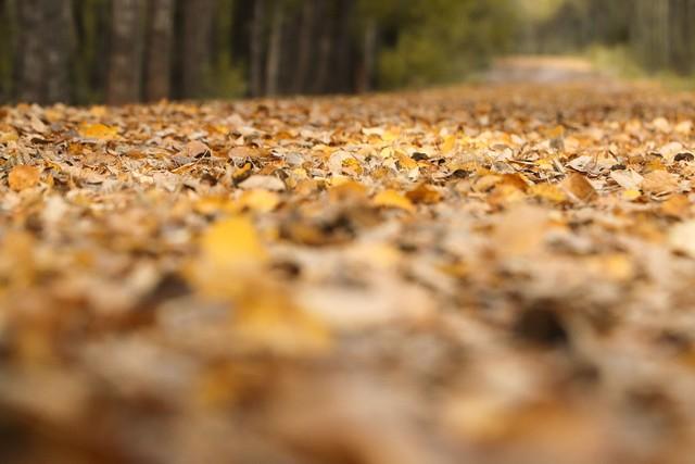 “春节冻不冻，就看冬月初一”，今日冬月初一	，2026年春节冷吗？