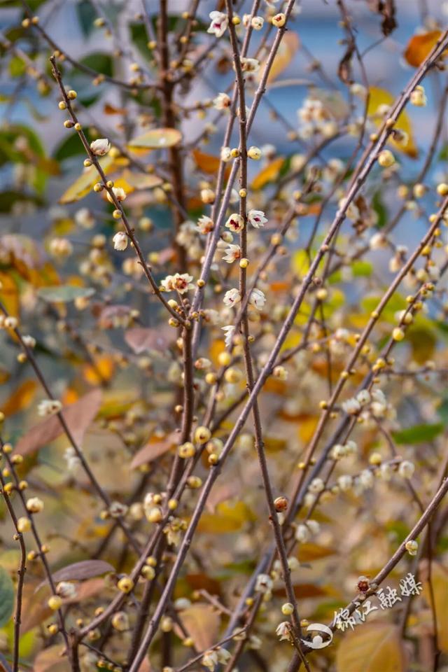 这一波是真香了！