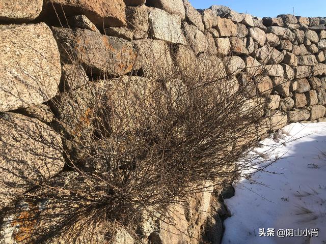 探寻包头市固阳县境内古遗址道路上的一些个人感悟