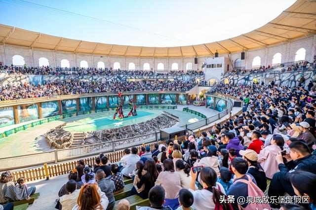 全省首批！欧乐堡动物王国入选山东研学旅游基地品质提升试点单位