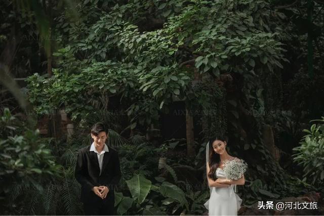 你知道吗？去唐山南湖这些地方，可以抄近路～