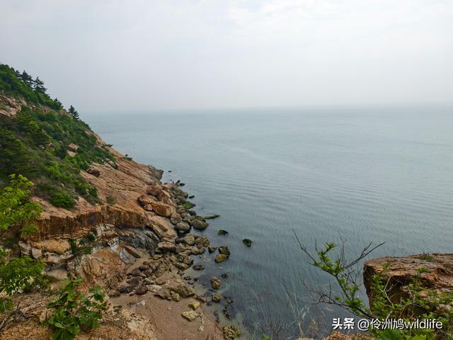 大连海之韵公园·棒槌岛