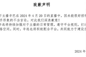快手“杀不死”辛巴，程一笑还会更需要他图片