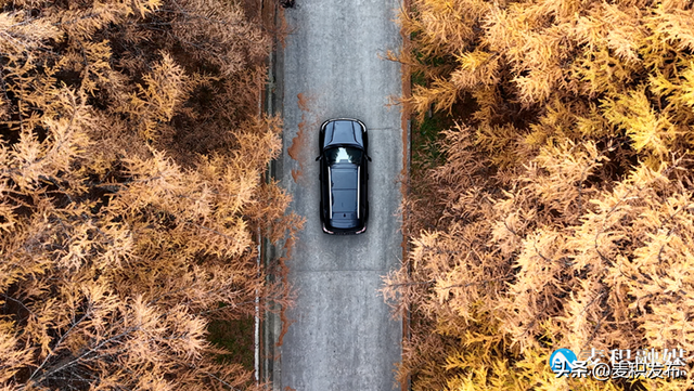 【东方微笑 多彩麦积】党川之秋：在麦积山林间，邂逅一场色彩与公路的交响