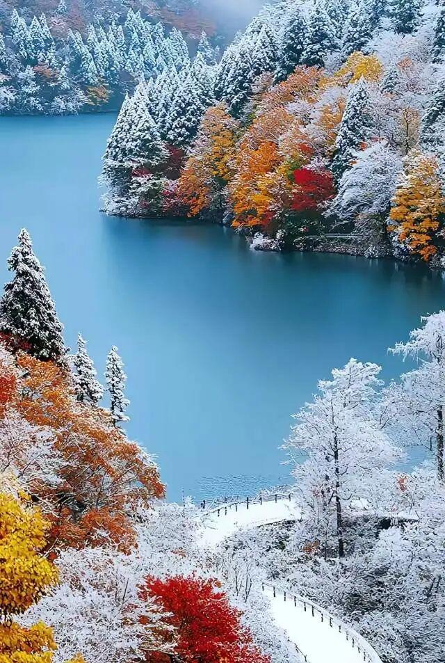冬日里的仙境，银装素裹，醉人的美！