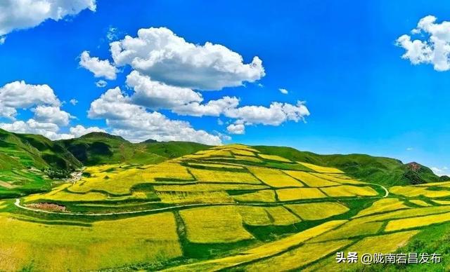 云游草原·乐享宕昌丨宕昌云端草原 ，您心中的诗与远方！