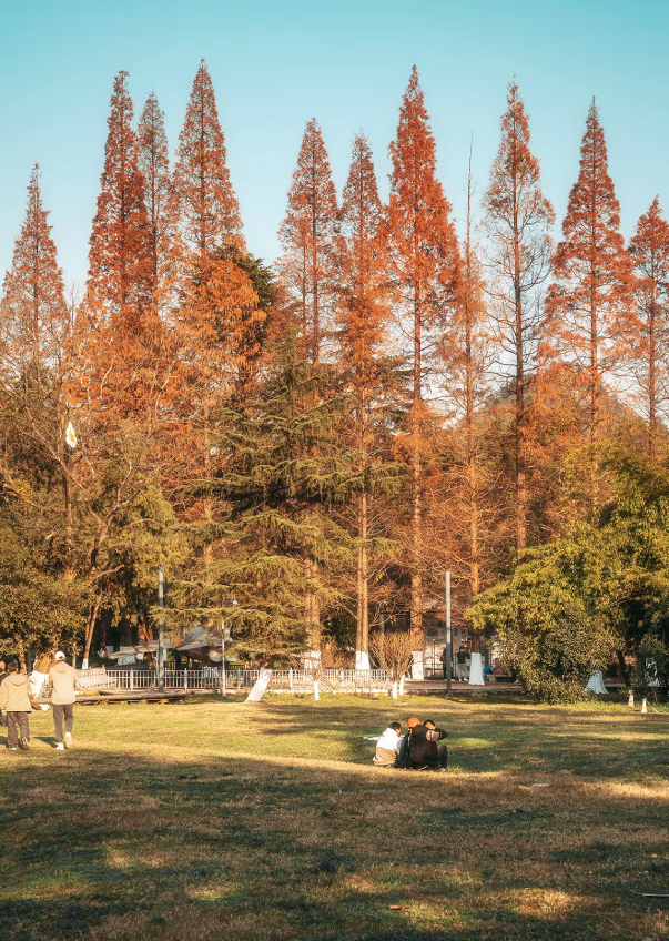 跟着《一路繁花2》打卡花溪~复刻姐姐们同款秋冬美景！
