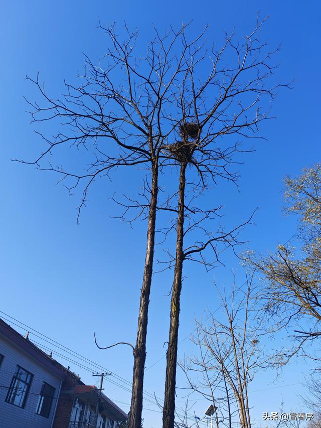 西安周边藏不住，浅山暖阳等你来晒！