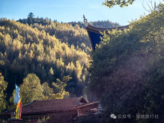 避开人潮，经典川西秋色10天行，人生必须要有的一场旅行！