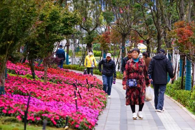 大理，更绿更美了