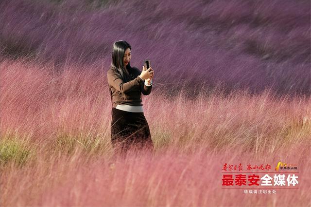 邂逅粉色花海，秋日限定浪漫“上新”