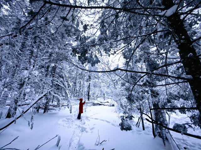 吉林延边的雪景到底有多美