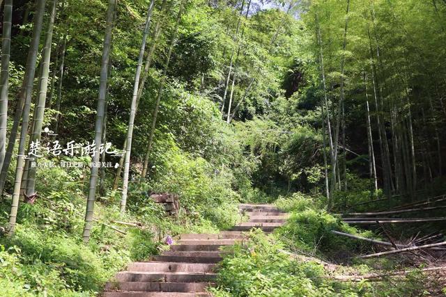 浙江宁波的竹林双古道，被誉为治愈系徒步胜地，景色宜人值得游玩