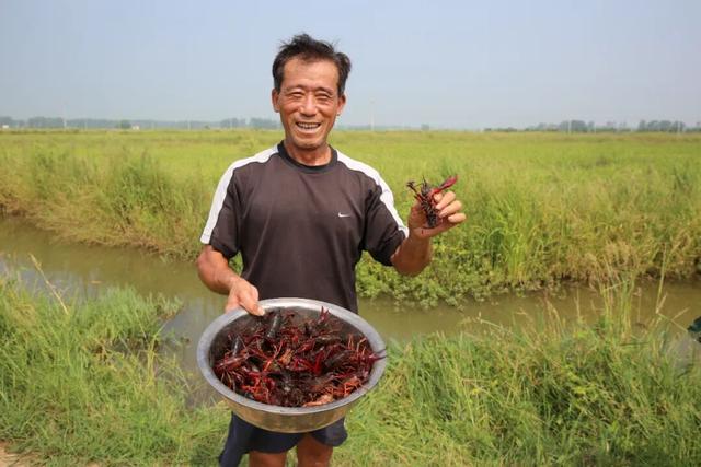 这一次，不得不去潢川了！