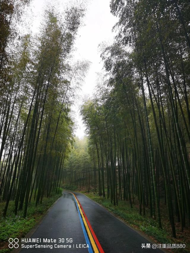 江苏是我的福地，更是我自驾游的圣地所到之处有宾至如归之感