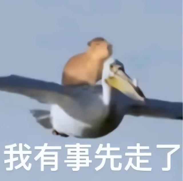 “我还有事先走了，去趟包头...”