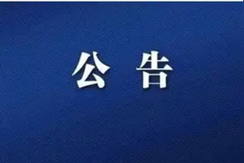 最新公告！6月14日起报名图片