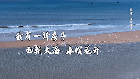 霞浦：与海同眠是日常